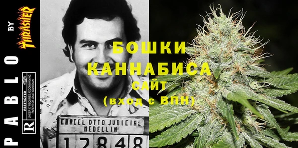 бутират Алексин