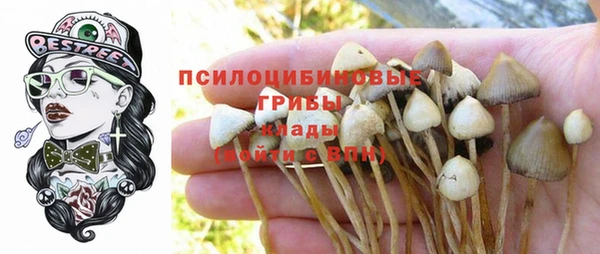 твердый Алексеевка